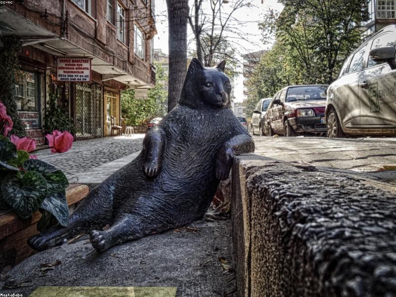 Adult with intellectual and developmental disability receiving community support services